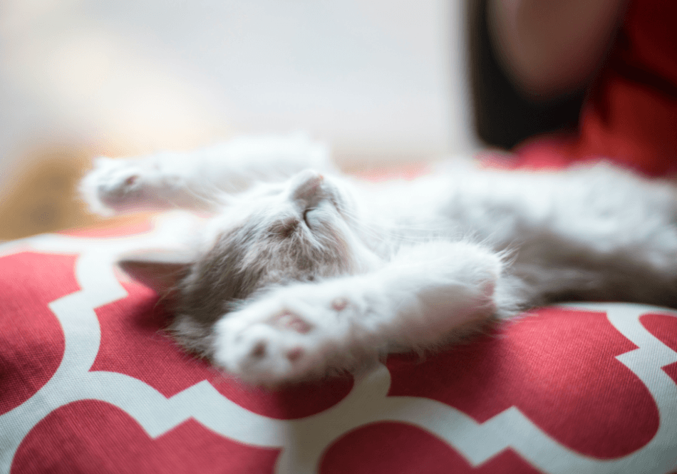 Consejos para dormir bien de noche